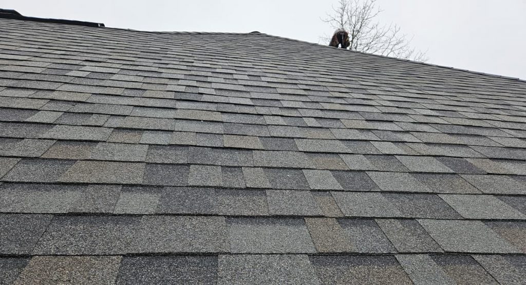 New Williamsburg Grey Roof in Bear, DE
