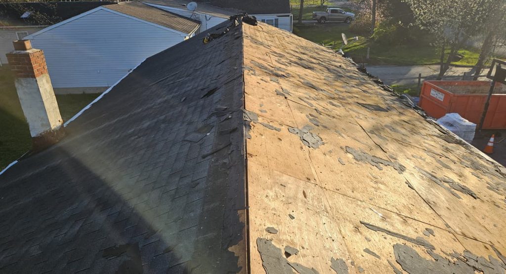 Tearing off old roof in Bear, DE