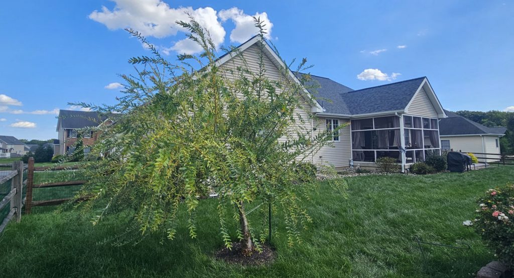 New Estate Gray colored roof in Bear, DE