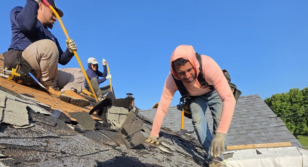 Roofers in safety harnesses remove loose shingles from a sunlit sloped roof.