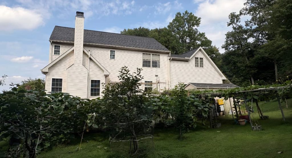 White two-story house with a tall chimney and gray roof, viewed from a grapevine-covered yard under a partly cloudy sky.